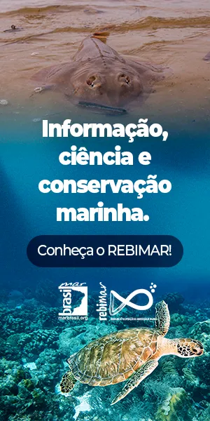 Conheça REBIMAR