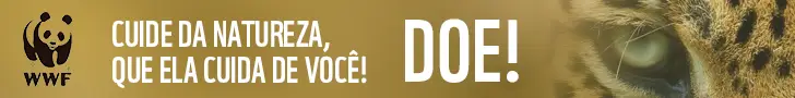 Publicidade