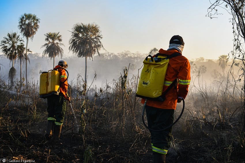 foto de brigadista do SOS Pantanal
