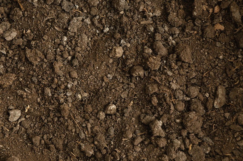 foto de solo degradado, remete a matéria Cientistas desenvolvem solução capaz de otimizar a resposta das plantas à crise climática