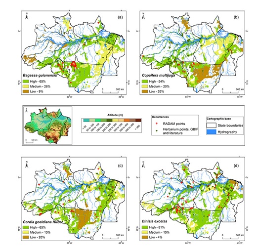 imagem mostra mapa da Amazônia, remete a matéria Estudo aponta onde e com quais espécies reflorestar a Amazônia com base na ciência