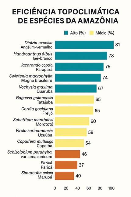 imagem do Ranking das espécies da Amazônia, remete a matéria Estudo aponta onde e com quais espécies reflorestar a Amazônia com base na ciência