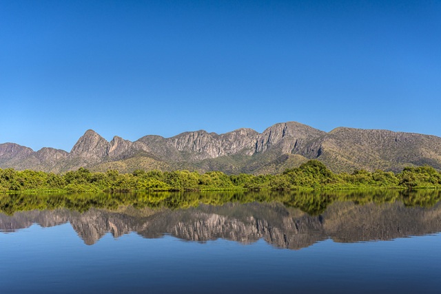 foto do pantanal, remete a matéria Movimento Um Dia no Parque celebra os 25 anos do SNUC com mobilização nacional em 450 Unidades de Conservação