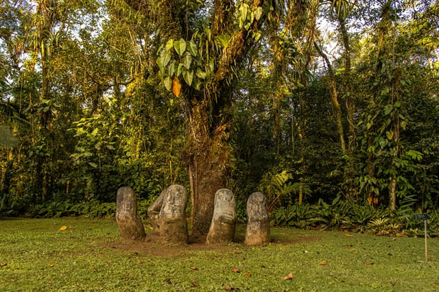 alameda das artes, no ekôa park, faz parte da grande reserva