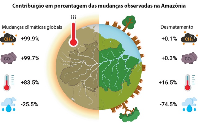 foto mostra gráfico do desmatamento na amazônia