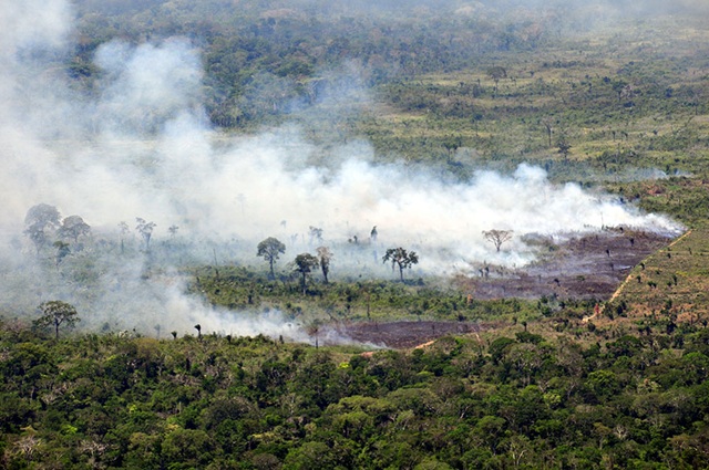 foto de queimada e desmatamento ilegal