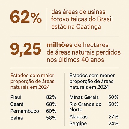 infográfico do mapbiomas, remete a matéria Caatinga lidera expansão solar no Brasil