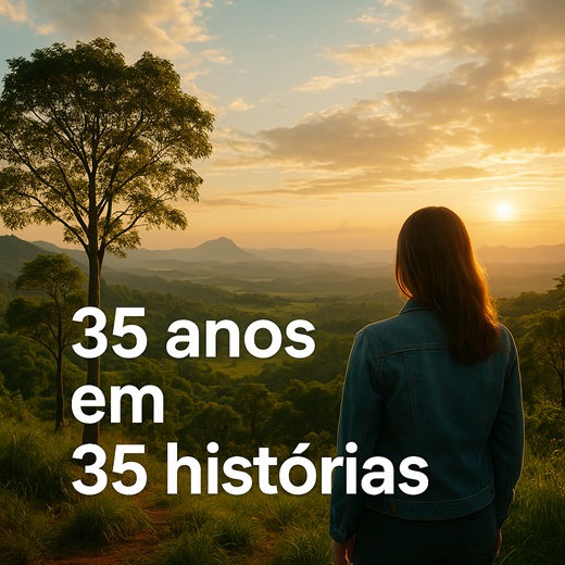 foto mostra mulher olhando para uma árvore e o por do sol ao fundo, remete a matéria 35 anos em 35 histórias: a nova galeria virtual da Fundação Grupo Boticário celebra a força da conservação no Brasil