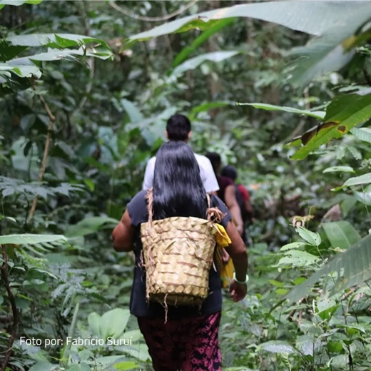 FOTO DE MULHER CARREGANDO FRUTAS NAS COSTAS, REMETE A MATÉRIA Brasileiros ainda veem a Amazônia como distante, misteriosa e pouco conectada 
ao cotidiano, aponta pesquisa inédita da ASSOBIO 
