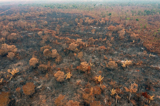 foto de Territórios Indígenas na Amazônia enfrentam uma combinação devastadora de seca extrema e incêndios florestais, remete a matéria 10 motivos para agir pela Amazônia