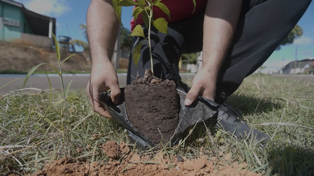 foto mostra uma pessoa plantando uma muda de árvore, remete a matéria Norte Energia e a missão de reflorestar o Xingu