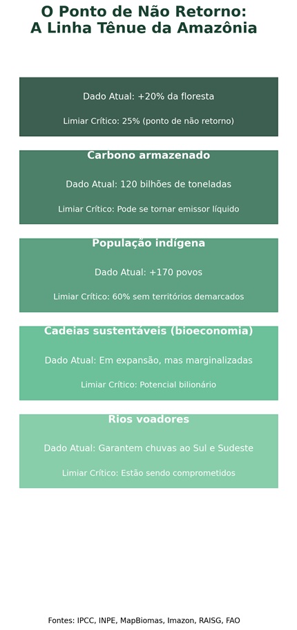 foto do infográfico do ponto tênue da amazônia