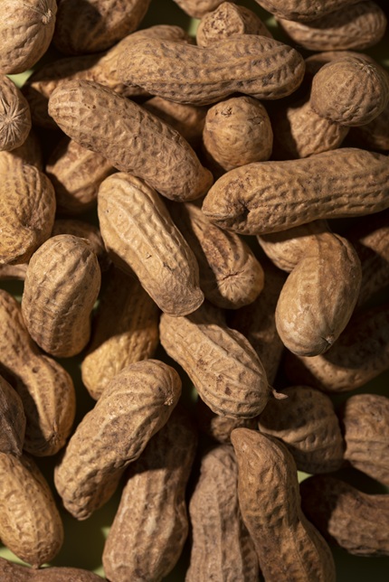 foto de amendoim com casca, remete a matéria Santa Helena atinge marco de Aterro Zero e reforça compromisso com gestão sustentável de resíduos