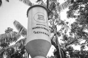 foto do projeto da mamba water