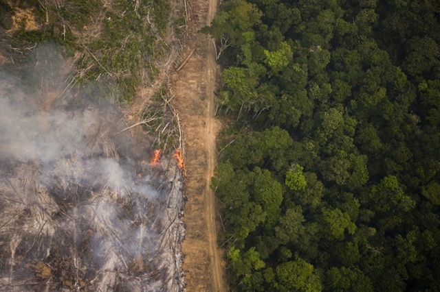 foto de desmatamento por queimada para plantação de soja
