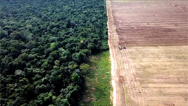 foto de desmatamento na amazônia para o cultivo de soja no brasil