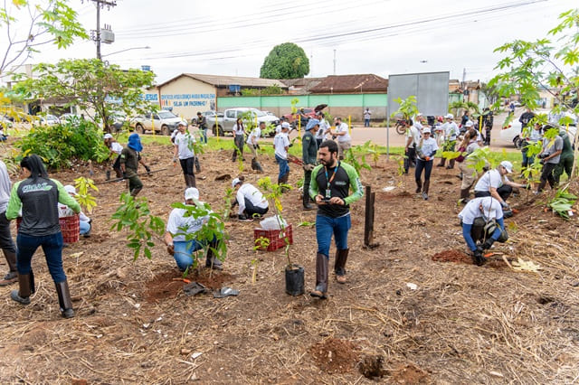 foto de plantio solidario com os funcionarios de belo Monte