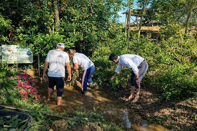 foto de voluntários do sicredi cuidando das nascentes