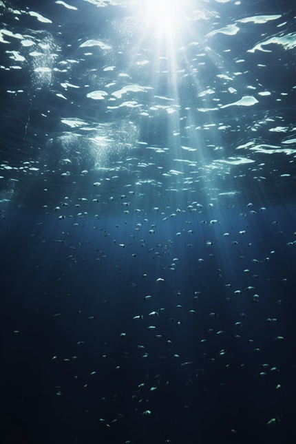 foto do fundo do oceano