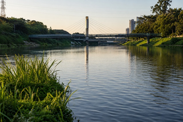 foto do rio pinheiros, remete a matéria Heineken e SOS Mata Atlântica reforçam parceria pela recuperação do Rio Pinheiros 