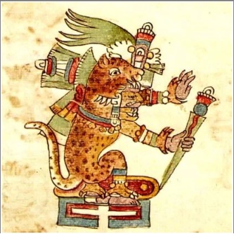 foto de uma onça na cosmologia indígena
