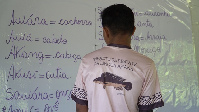 foto de menino de costas com a camiseta do projeto apiaká, remete a matéria "sawara": como uma criança Apiaká aprendeu a dizer "onça" na língua de seus avós
