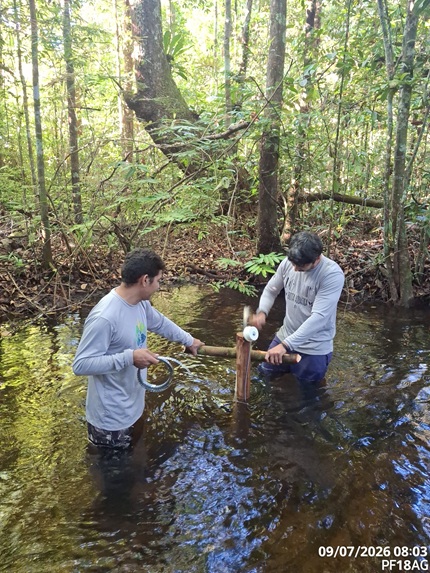 foto de cientistas instalando o sensor no igarapé, remete a matéria Agropalma abriga sensores que medem 24 horas por dia o que a seca faz com oito igarapés do Pará