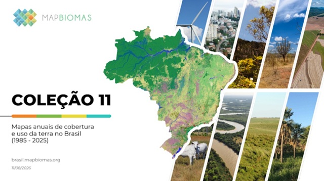 foto da capa da coleção 11 do mapbiomas, remete a matéria Brasil perde 14 pontos de vegetação nativa em 41 anos e fica mais exposto ao El Niño