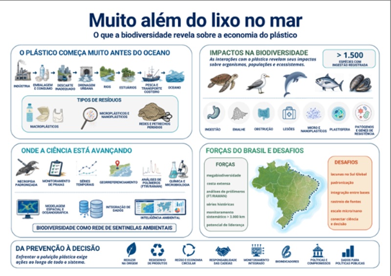 tabela que remete a matéria Muito além do lixo no mar: o que a biodiversidade revela sobre a economia do plástico