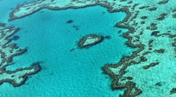 australia-corais.jpg.640x340_q85_crop