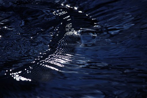 AGUA3