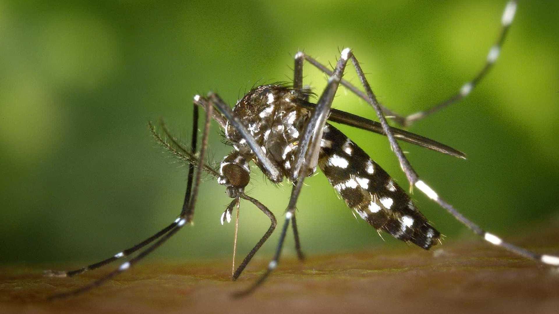 MALARIA5
