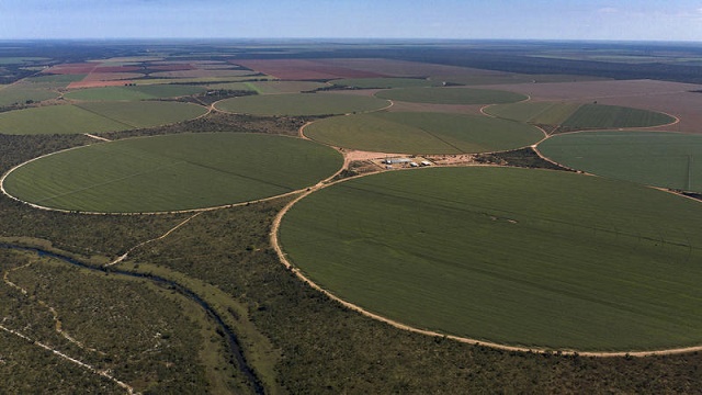 foto mostra desmatamento no cerrado brasileiro causado pela agricultura e o uso intenso de agrotóxicos