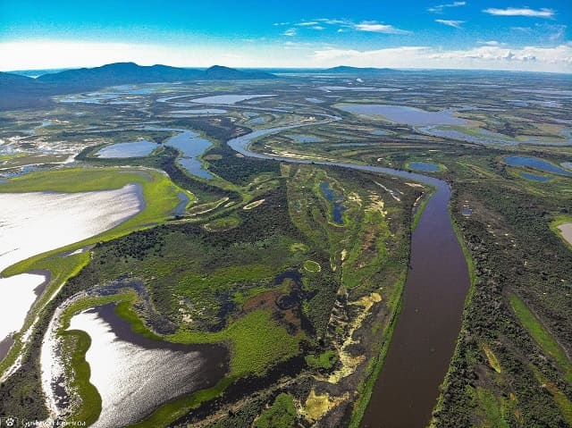 foto de pantanal, remete a matéria Com 99% do Pantanal suscetível a perder espécies de anfíbios, são necessárias mais áreas de proteção