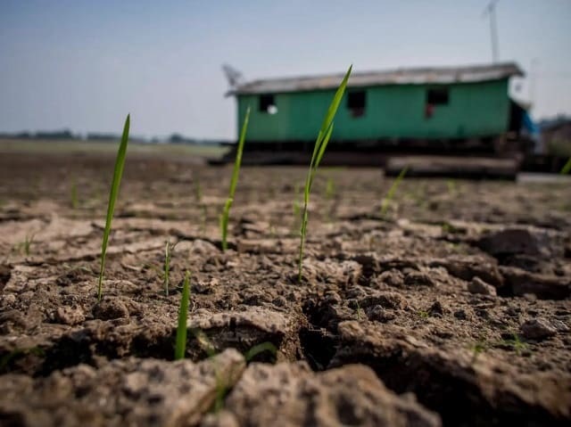 El Niño pode potencializar fogo na Amazônia, alertam cientistas - Amazônia  Real