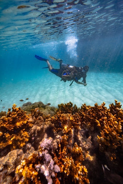 foto mostra turista mergulhando ao lado do instrutor no recifes de corais preservados no litoral de Pernambuco. O crédito das imagens é: Filipe Cadena/Fundação Grupo Boticário