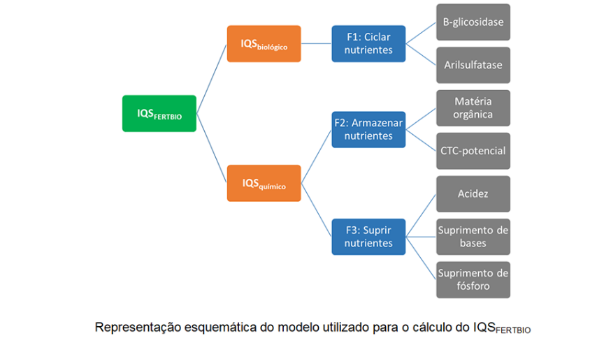 imagem mostra a representação esquemática do modelo utilizado para o cálculo do IQS, remete a matéria Banco reúne 28 mil amostras com dados biológicos dos solos brasileiros