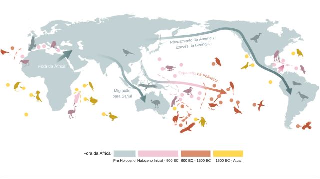 foto mostra Mapa mostra as ondas de ocupação humana e as extinções de aves ao longo do tempo geológico até os dias atuais (Era Comum = EC).