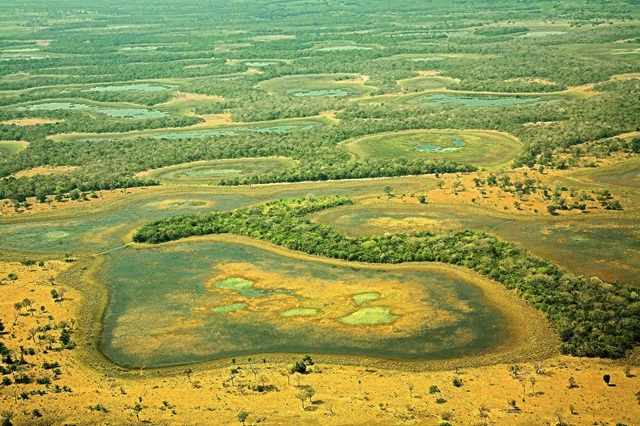 foto de O pantanal enfrenta uma situação alarmante, com 3.451 focos de incêndio registrados até a última quinta-feira (27),
© WWF-Brasil / A.Camboni/ R.Isotti-Homo Ambiens
