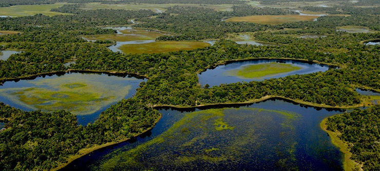 foto do pantanal, remete a matéria Amazônia já tem mais de 50 mil focos de fogo em 2024 e fumaça se espalha pelo país