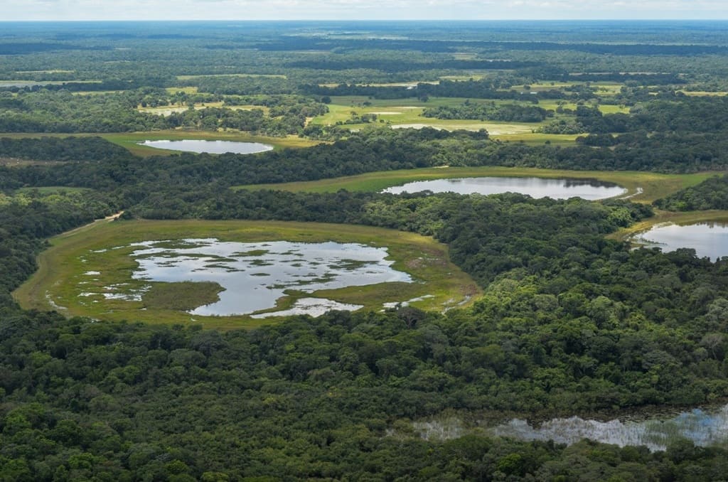 foto de Imagens aéreas da paisagem do Pantanal da Nhecolândia, no Mato Grosso do Sul:
clima quente e seco prejudica espécies dependentes da umidade (foto: Karoline Ceron), remete ao sumiço dos anfíbios