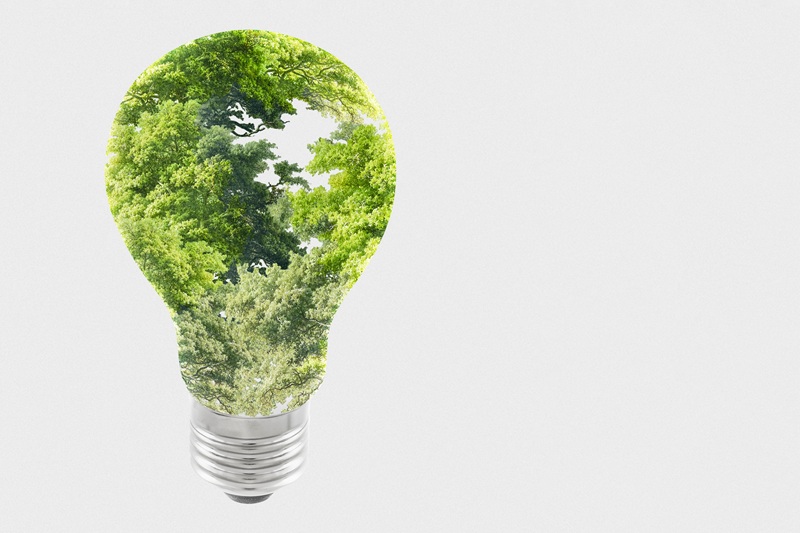 foto de lâmapada com mata verde dentro, remete a matéria Sustentabilidade na comunicação digital