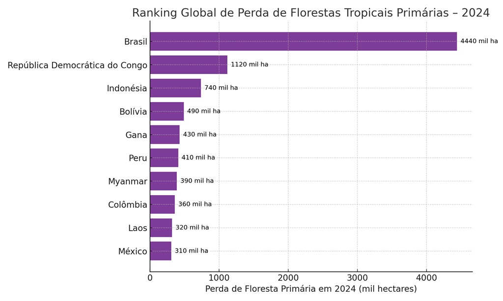 imagem do infográfico com os 10 países que tiveram a maior perda florestal em 2024, remete a matéria o colapso verde