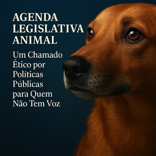 foto de um cachorro, remete a matéria Agenda Legislativa Animal: Um Chamado Ético por Políticas Públicas para Quem Não Tem Voz